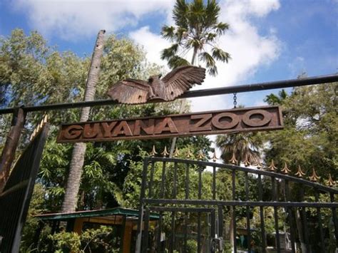 Visit Website. . Animal farm guyana zoo